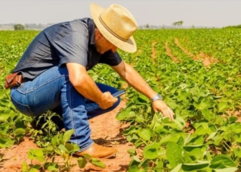 Sertão Vivo destina R$ 150 milhões para ampliar a agricultura no semiárido