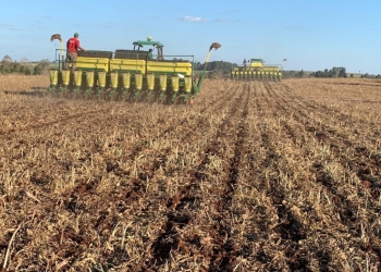 Com dívidas superiores a R$ 1,3 trilhão, agro busca solução antes do início da safra 26/27