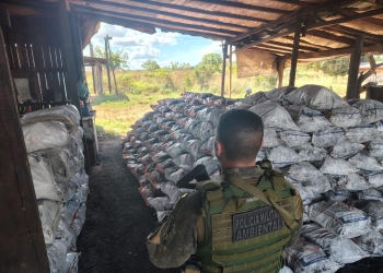 Carvoaria clandestina é fechada e mais de mil sacos de carvão são apreendidos