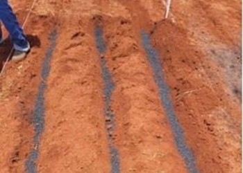 Pesquisadores desenvolvem fertilizante sustentável a partir de cinza vegetal em Rondonópolis