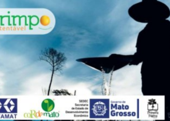 Metamat abre investigação sobre parceria de R$ 2,1 milhões firmada com entidade