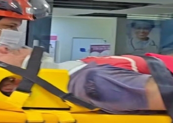 Motociclista fratura a perna após atingir anta durante ultrapassagem na MT-560