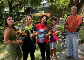 Museu promove dia do meio ambiente com doação de mudas, oficinas e programação para toda a família