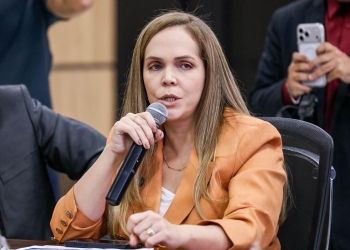 “MT se consolidou como um dos principais destinos de investimentos do país”, afirma secretária