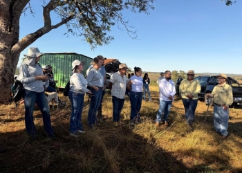 Programa Todos pelo Araguaia deve recuperar mil hectares de áreas degradadas até dezembro