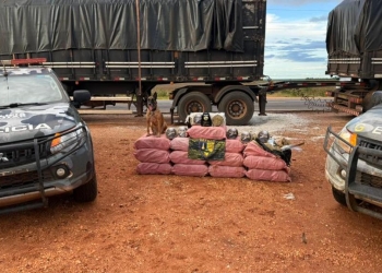 Operações do Gefron causam prejuízo de R$ 2,5 bilhões a facções criminosas em pouco mais de sete anos