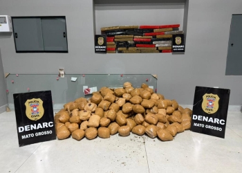 Denarc apreende mais de 150 quilos de maconha em depósito no bairro Jardim União