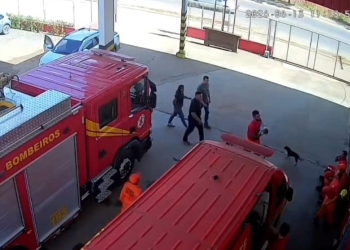 Corpo de Bombeiros reanima criança que teve parada cardiorrespiratória após ser arremessada de motocicleta
