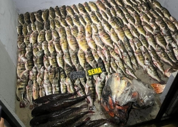 Operação apreende 212 kg e unidades de pescado ilegal, carne de caça e aplica R$ 53 mil em multas