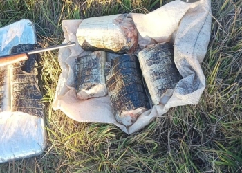 Sema apreende 22 quilos de pescado e de carne de jacaré em Poconé
