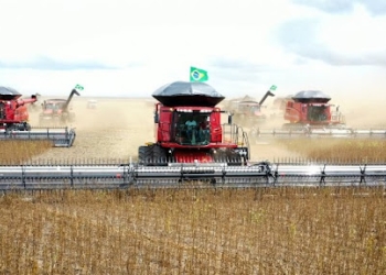 Soja responde por 84% das exportações e consolida força do agronegócio