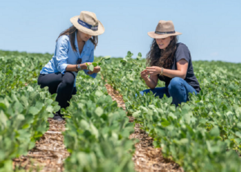 Cuiabá reúne lideranças femininas do agro na próxima quinta-feira