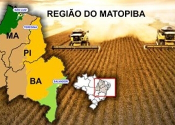 Embrapa investe quase R$ 60 milhões em nova unidade para o Matopiba