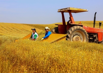 Valor Bruto da Produção levam agro a faturamento recorde de R$ 212,6 bilhões