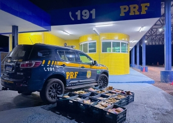 Três apreende mais de 280 quilos de cocaína, maconha e skunk em MT